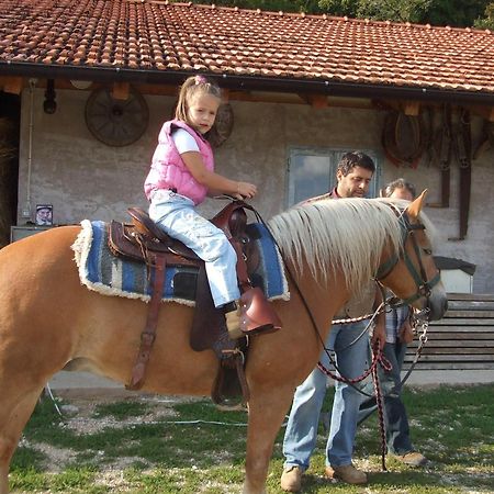Agritur Le Pergole Hotel Villa Lagarina Kültér fotó