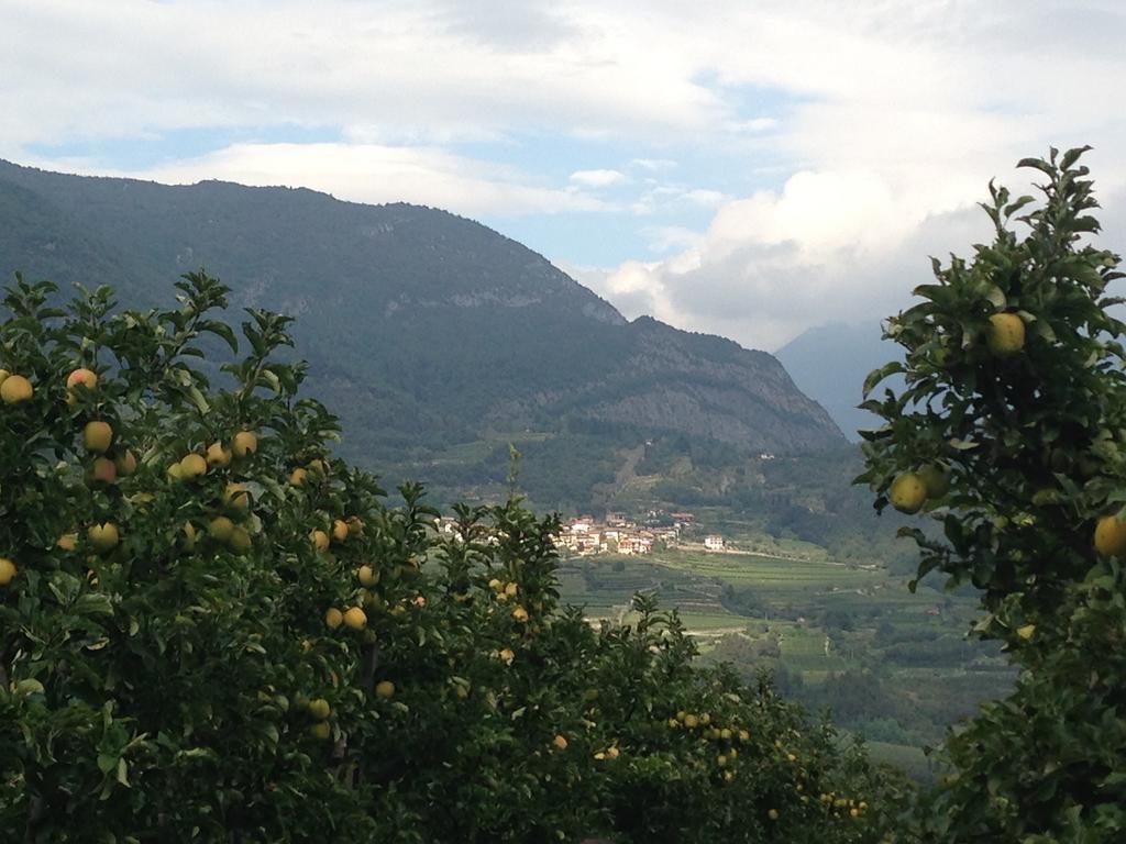 Agritur Le Pergole Hotel Villa Lagarina Kültér fotó