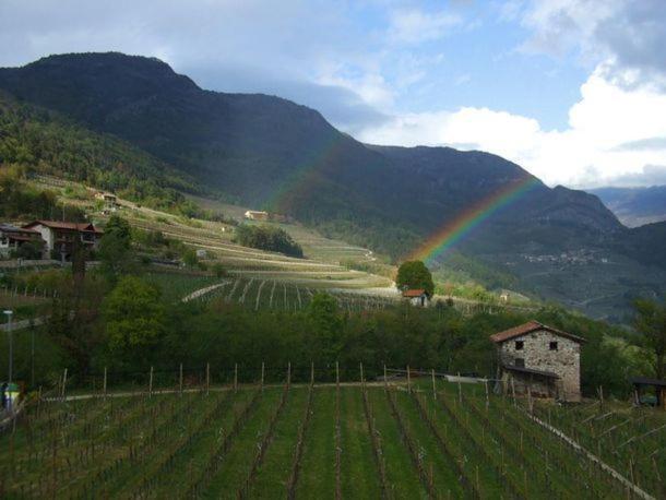 Agritur Le Pergole Hotel Villa Lagarina Kültér fotó
