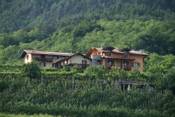Agritur Le Pergole Hotel Villa Lagarina Kültér fotó