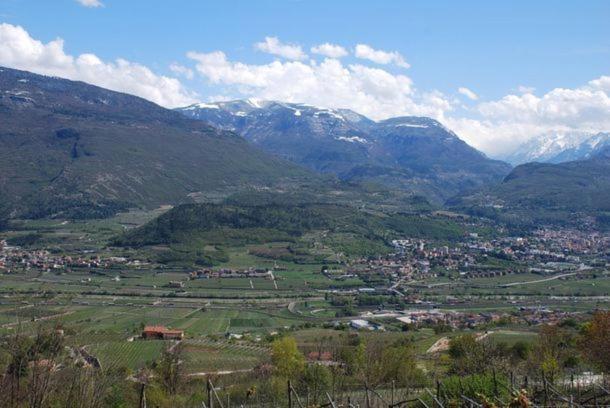 Agritur Le Pergole Hotel Villa Lagarina Kültér fotó